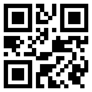 Il Qr Code di 3919305848