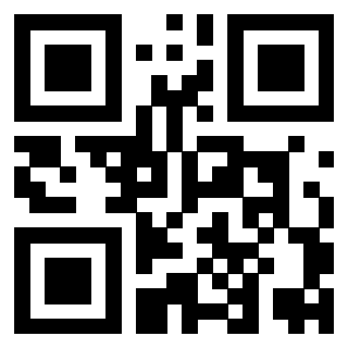 Il Qr Code di 3919305857
