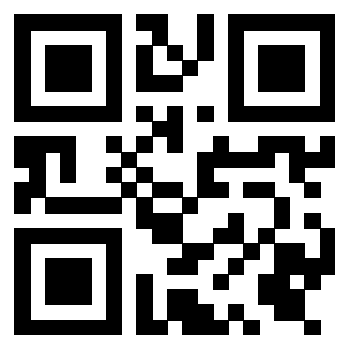 Il Qr Code di 3919305884