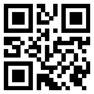 3919305891 - Immagine del QrCode associato