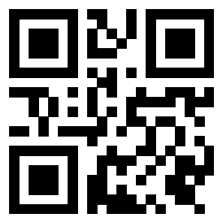 3919305894 Qr Code associato