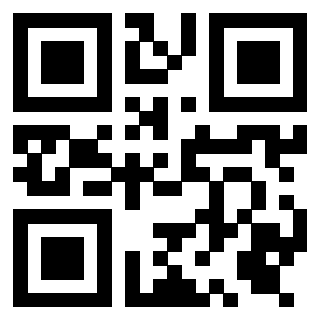 3919305895 - Immagine del QrCode