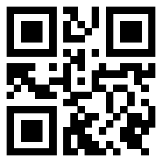 Il Qr Code di 3919305896