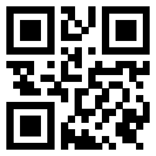 Il Qr Code di 3919305899