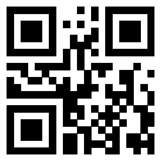 Immagine del Qr Code di 3919305919