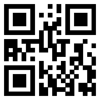Il Qr Code di 3919305946