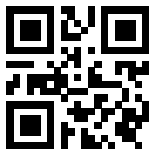 Il Qr Code di 3919305979