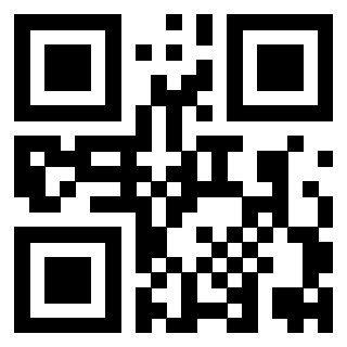 Il Qr Code di 3919305988