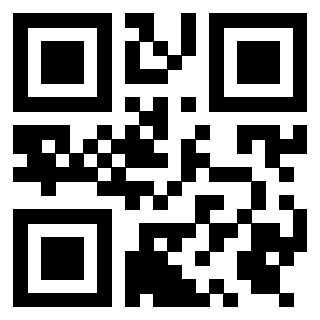 Il Qr Code di 3919305999