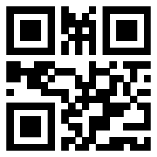 Il Qr Code di 3919306005