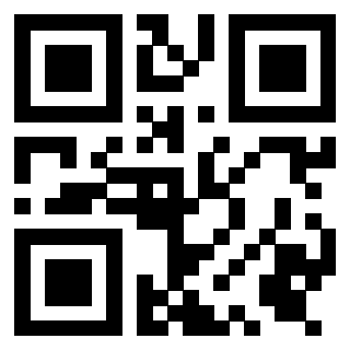 3919306010 QrCode associato