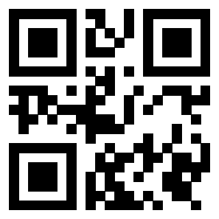Il Qr Code di 3919306025