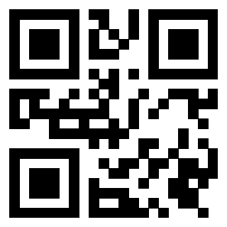 3919306029 QrCode associato