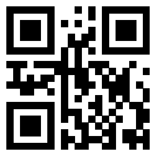 Il Qr Code di 3919306076