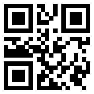 3919306091 QrCode associato