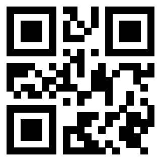 Il Qr Code di 3919306103