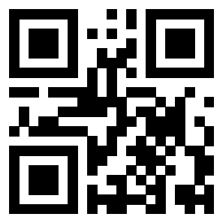 Il Qr Code di 3919306113