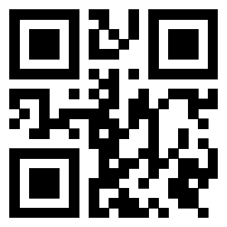 Il Qr Code di 3919306125