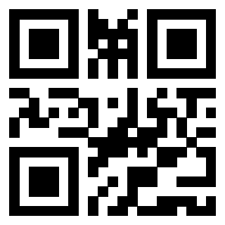 3919306132 Qr Code associato