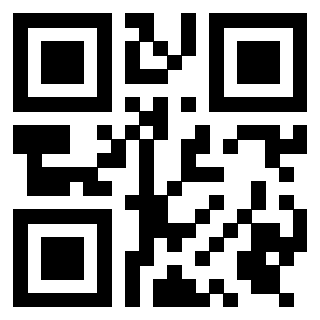Il Qr Code di 3919306170