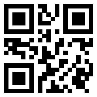 Il Qr Code di 3919306198