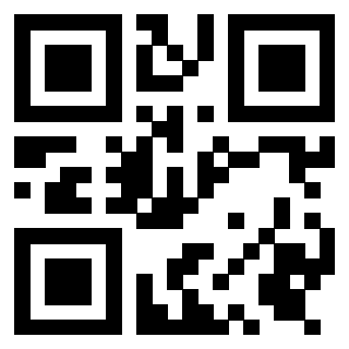 Il Qr Code di 3919306202