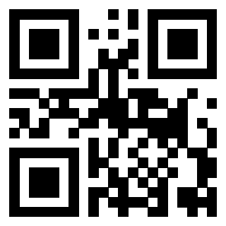 Immagine del Qr Code di 3919306224
