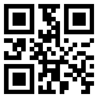 Il Qr Code di 3919306233