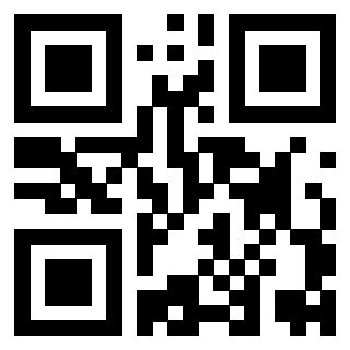 3919306256 - Immagine del Qr Code associato