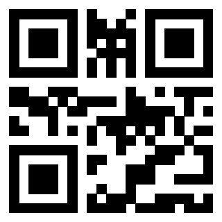 Il Qr Code di 3919306259