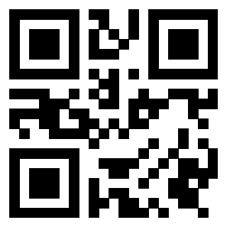 Il Qr Code di 3919306260