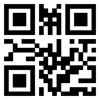 QrCode di 3919306263