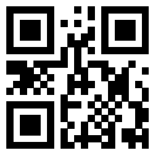 QrCode di 3919306290