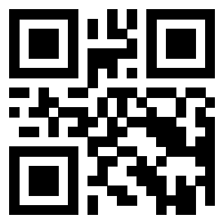 Il Qr Code di 3919306310