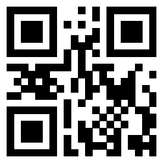Il Qr Code di 3919306378