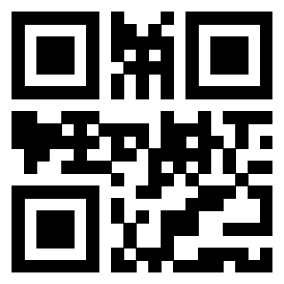 Il Qr Code di 3919306389