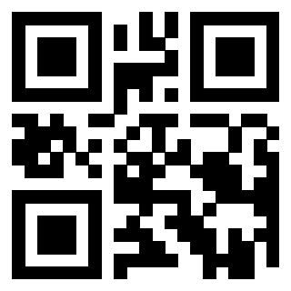 Il Qr Code di 3919306402