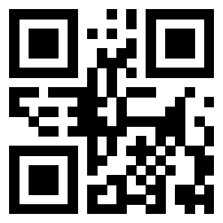 3919306412 Qr Code associato