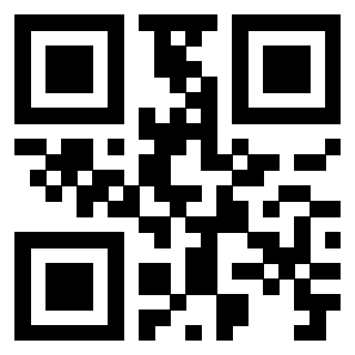 Il Qr Code di 3919306513
