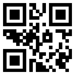 QrCode di 3919306533