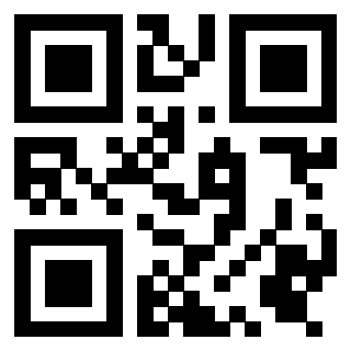 Il Qr Code di 3919306548