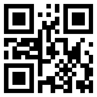 Il Qr Code di 3919306561