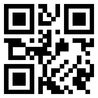 Il Qr Code di 3919306590