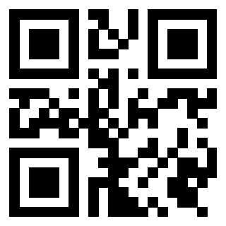 3919306604 - Immagine del QrCode