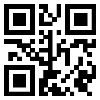 3919306612 QrCode associato