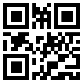 Il Qr Code di 3919306618