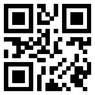 Il Qr Code di 3919306620
