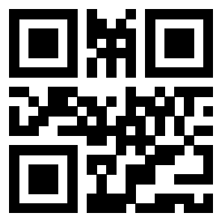 Il Qr Code di 3919306653