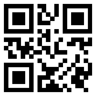 Il Qr Code di 3919306660