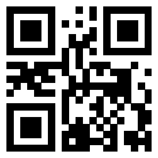 3919306666 - Immagine del QrCode